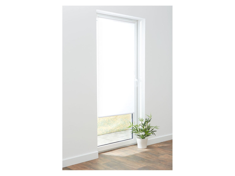 LIVARNO home Tageslichtrollo, für Türen, ohne Bohren, 80x100cm Angebote