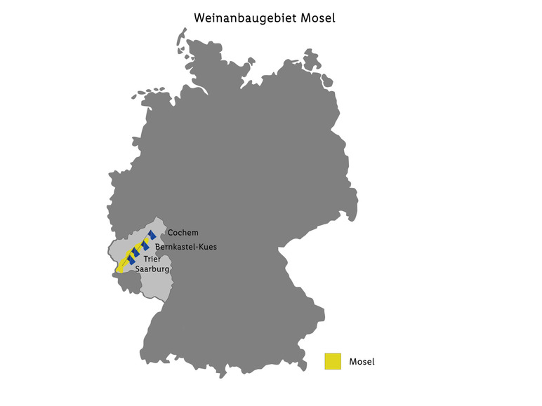 Markus Molitor "M" Riesling Mosel QbA feinherb, Weißwein 2022 Verkauf