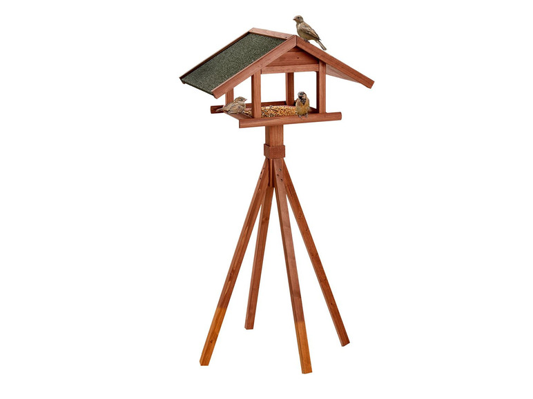 Karlie Bird's World Wild Remo Auslauf