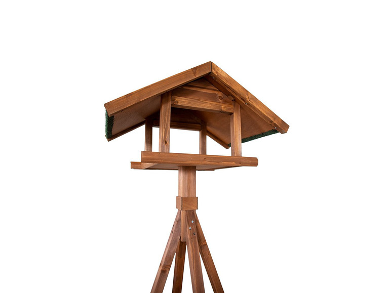 Karlie Bird's World Wild Remo Auslauf
