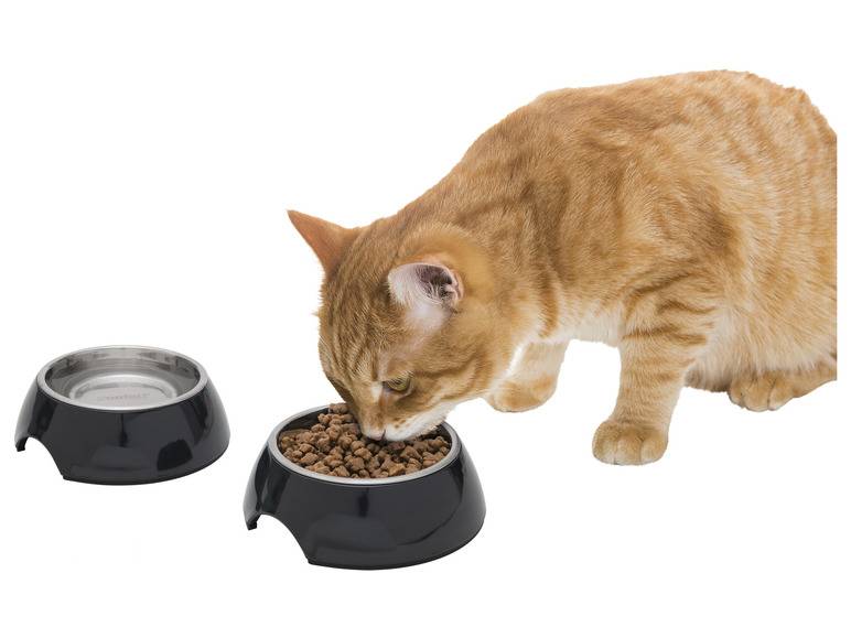 zoofari® Futter- und Trinknapf / Napfunterlage im Angebot