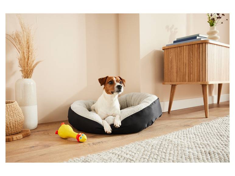 zoofari® Hundebett, mit kuscheligem Plüsch Meist gekauft