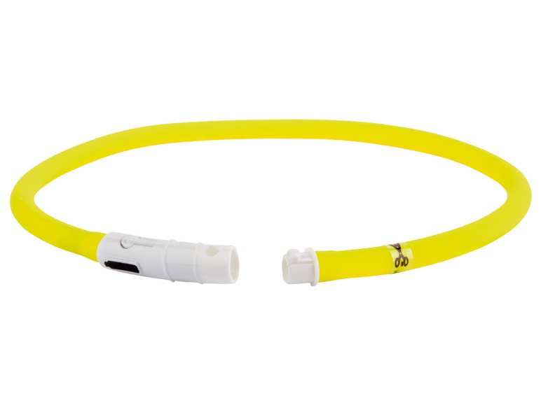 zoofari® Hundehalsband, mit LED im Angebot