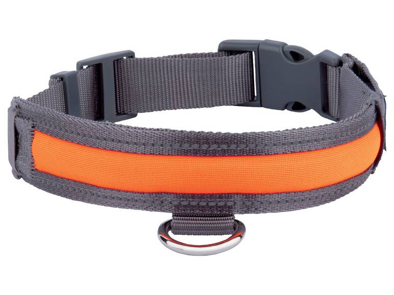 zoofari® Hundehalsband, mit LED im Angebot