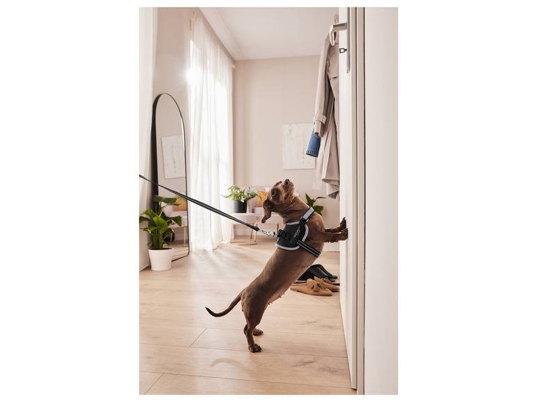 zoofari® Hundegeschirr, mit Klettstickern Schlussverkauf