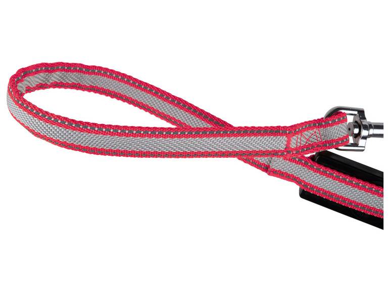 zoofari® Ausziehleine LED, 3 Leuchtfunktionen Fabrikverkauf
