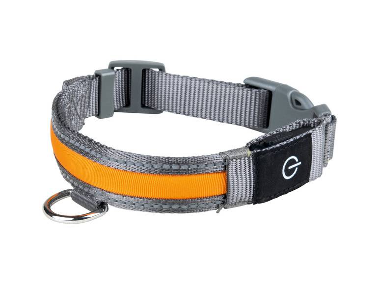 zoofari® LED-Hundeleuchtband, mit wiederaufladbarem Akku