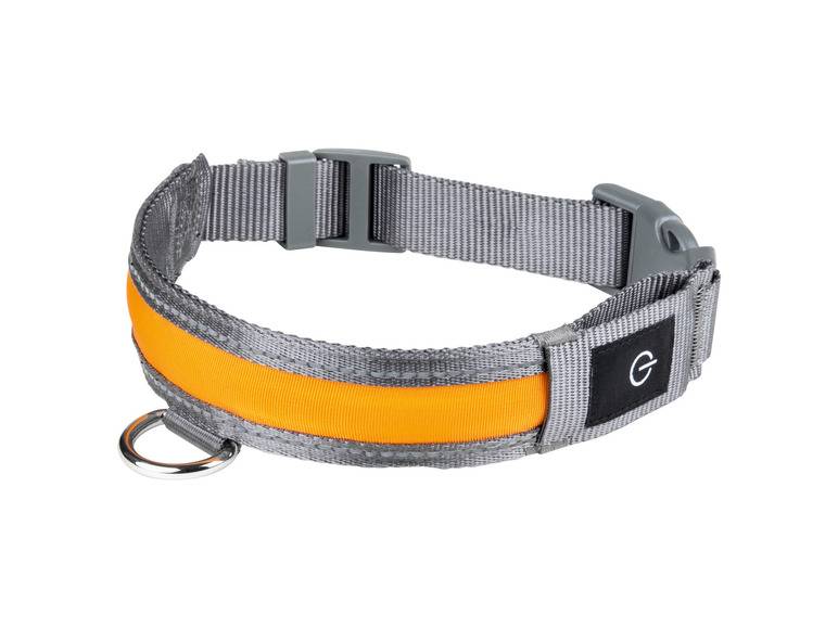 zoofari® LED-Hundeleuchtband, mit wiederaufladbarem Akku Hotsell