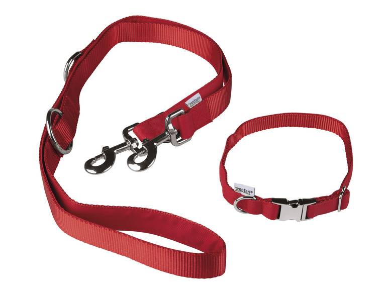 zoofari® Hundehalsband mit Hundeleine Blitzverkäufe