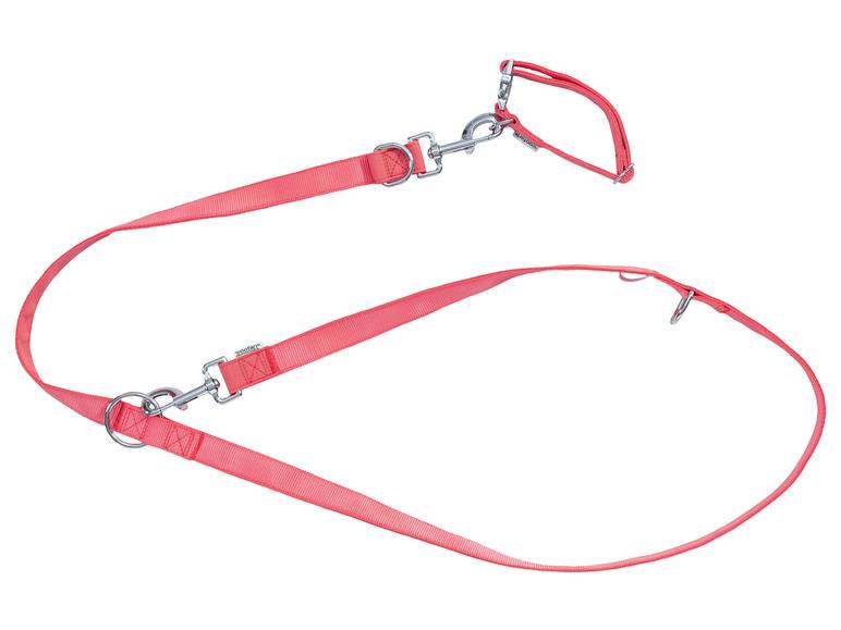 zoofari® Hundehalsband und Hundeleine Outlet