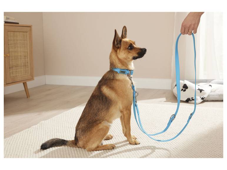 zoofari® Hundehalsband und Leine, 3-fach verstellbar Verkauf