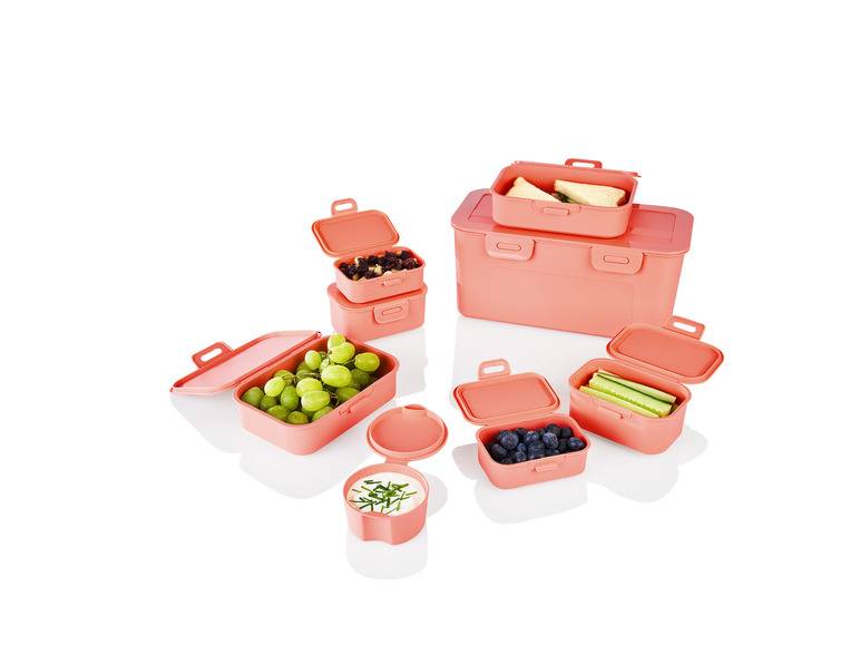 ERNESTO® Frischhaltedosen-Set, 8er-Set Hotsell