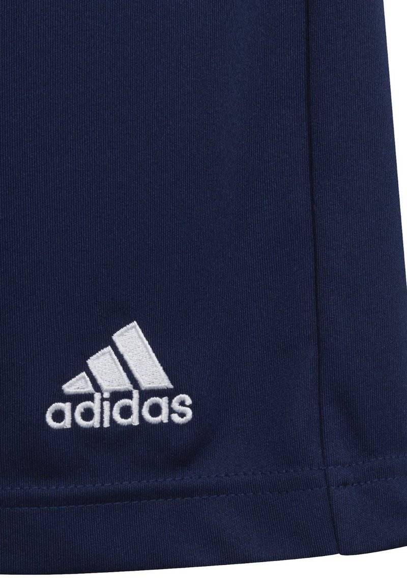 adidas Performance adidas Performance ENTRADA - Sports shorts - blue Großer Ausverkauf