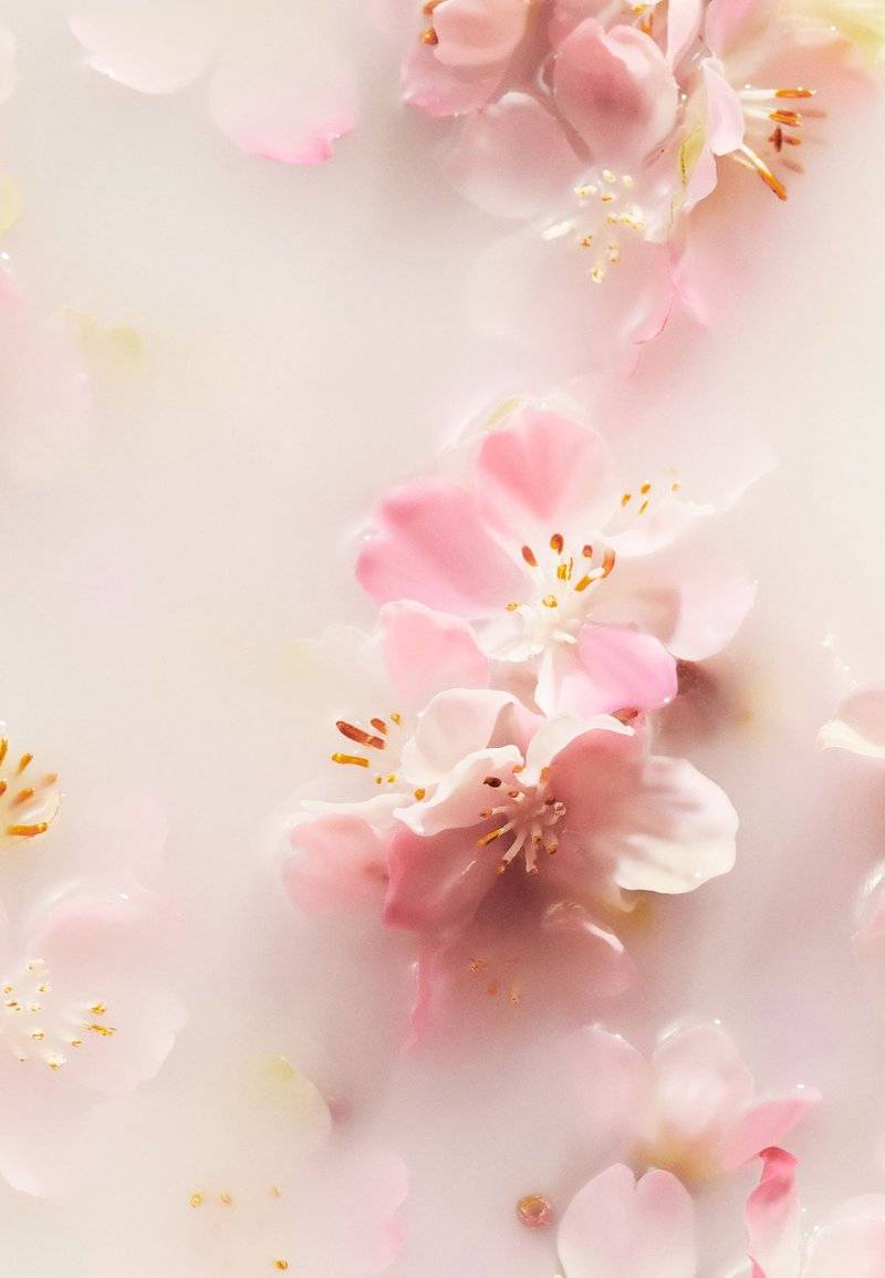 Rituals Rituals ANTI-PERSPIRANT SPRAY TRAVEL SIZE THE RITUAL OF SAKURA - FLORAL - CHERRY BLOSSOM & RICE MILK - Deodorant Meist gekauft