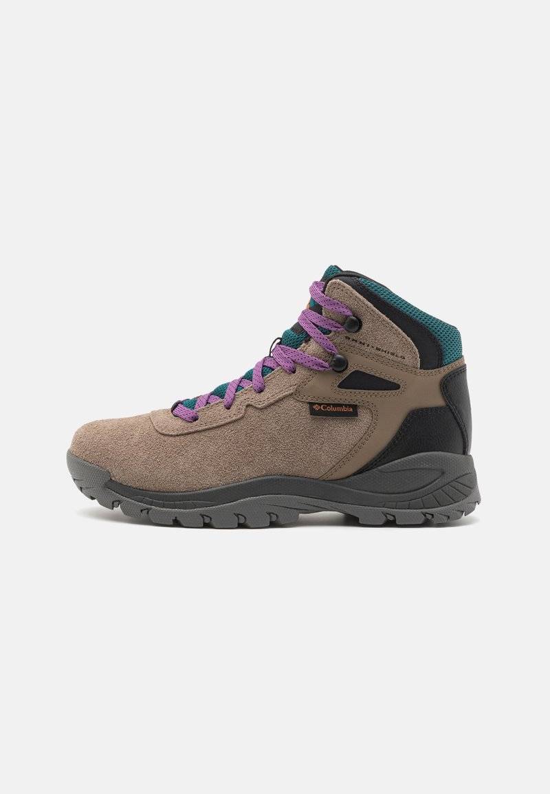 Columbia Columbia NEWTON RIDGE - Hiking shoes