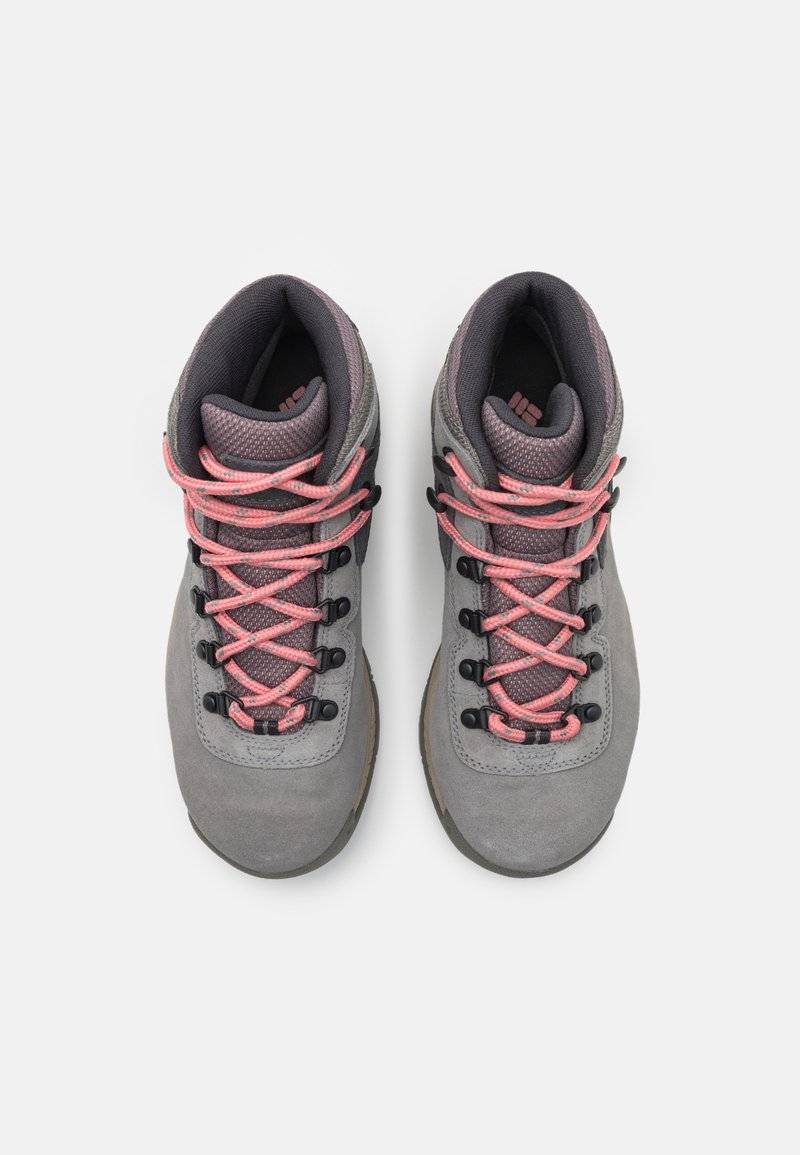 Columbia Columbia NEWTON RIDGE PLUS WATERPROOF AMPED - Hiking shoes Angebote