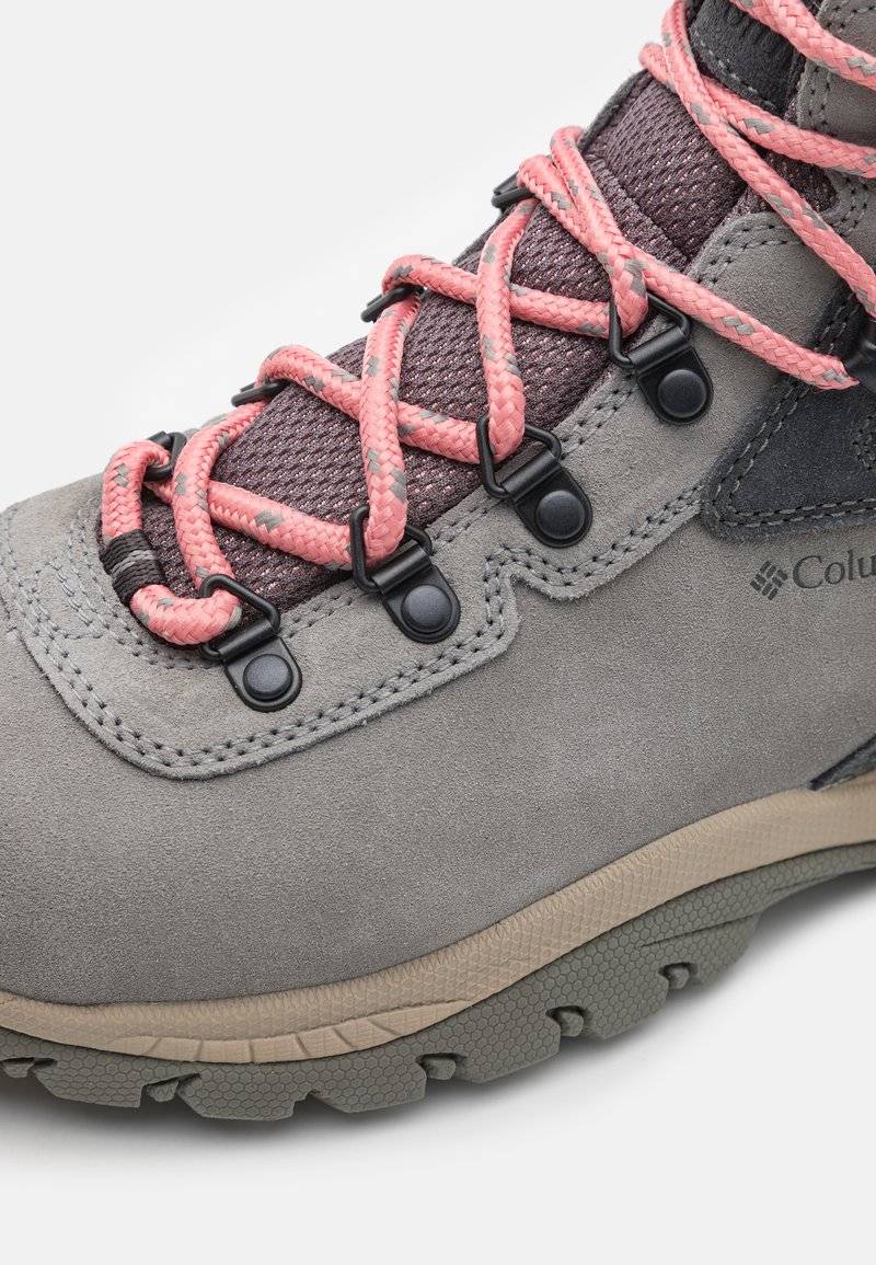 Columbia Columbia NEWTON RIDGE PLUS WATERPROOF AMPED - Hiking shoes Angebote